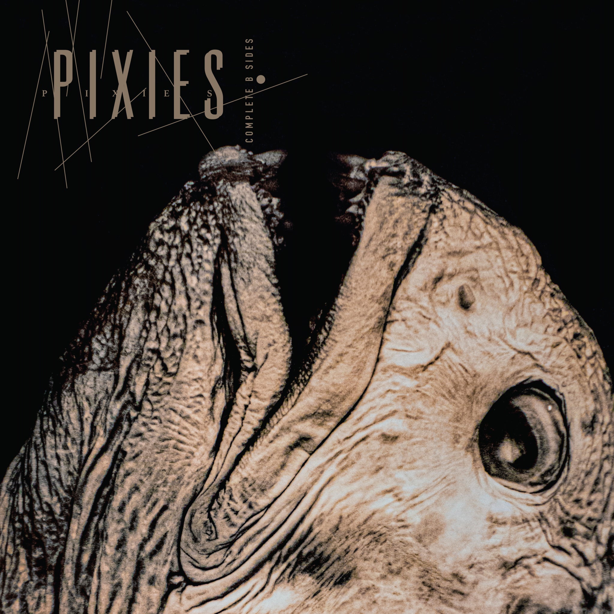 Pixies - Complete B-Sides: 1988-97 Black Vinyl 2LP