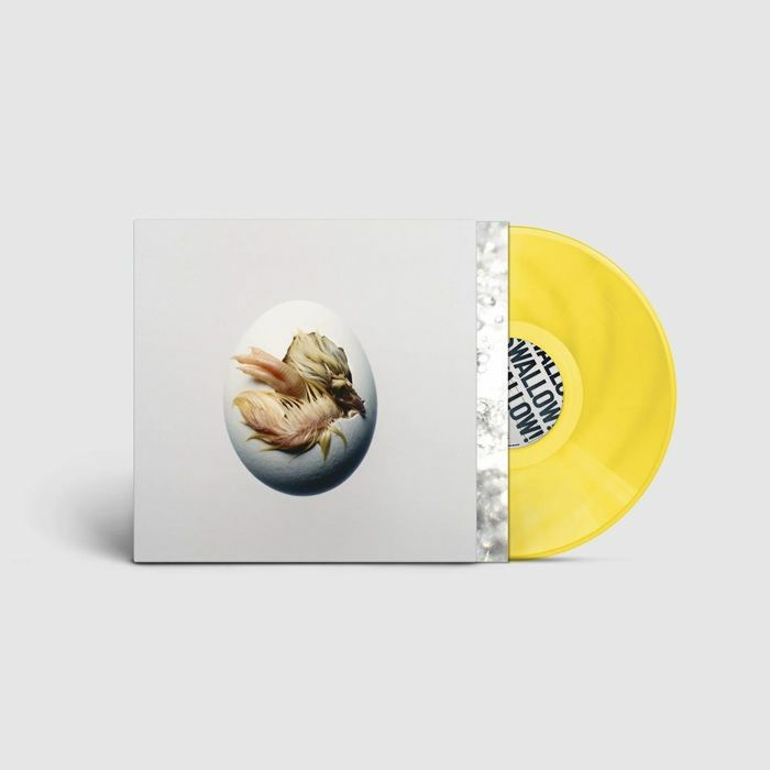 Shygirl - Swallow!