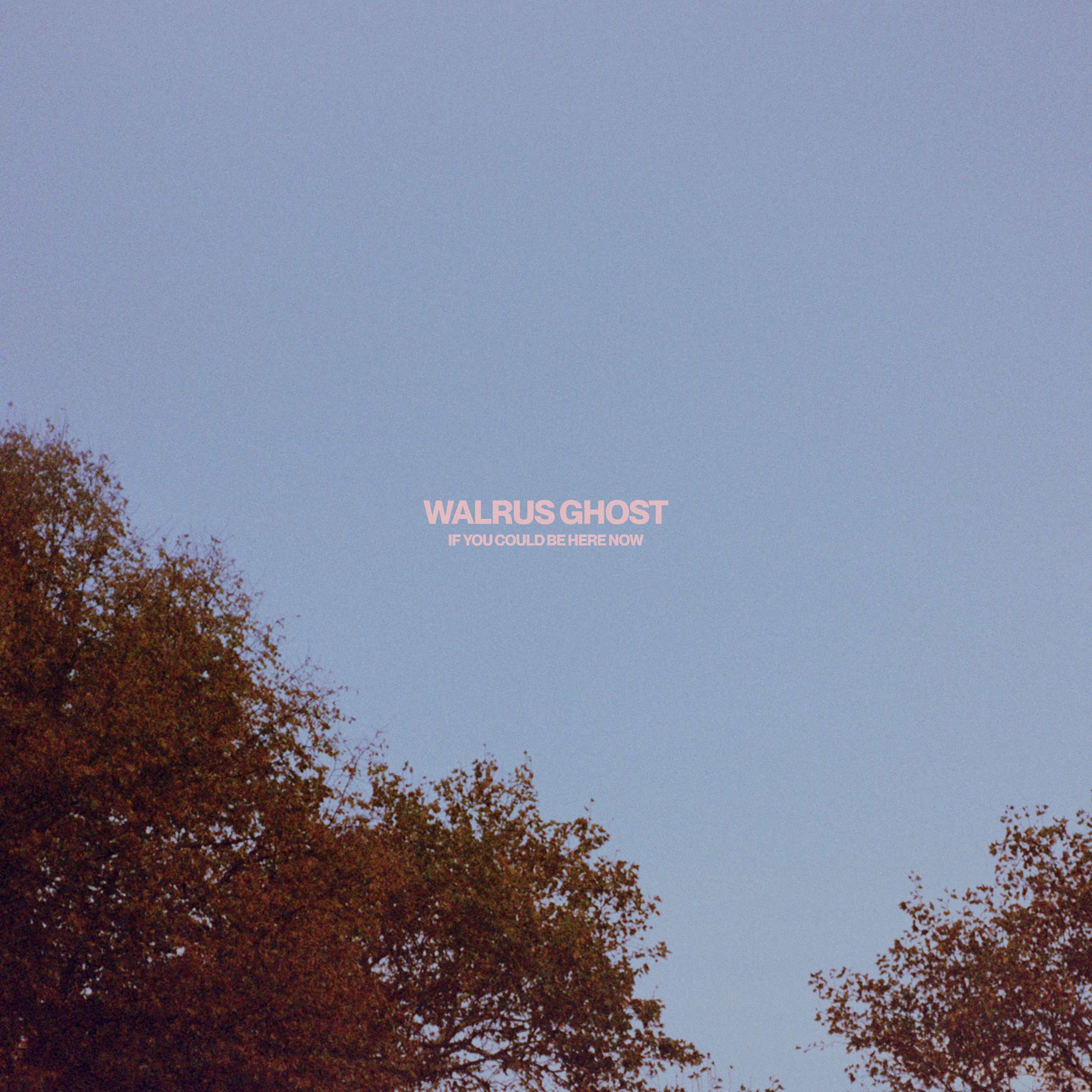Walrus Ghost - If You Could Be Here Now LP