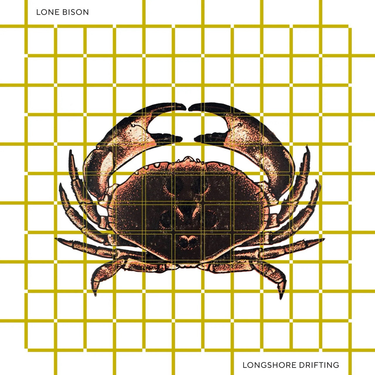 Lone Bison - Longshore Drifting LP