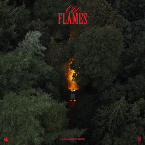 La Roux - Old Flames LP