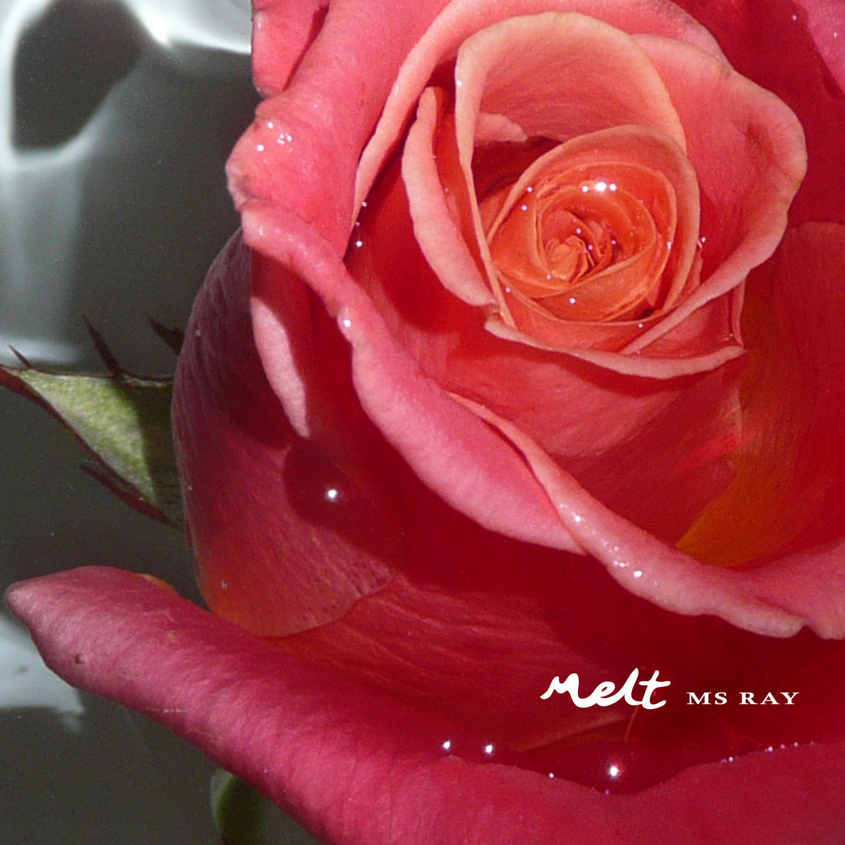 Ms Ray  Melt