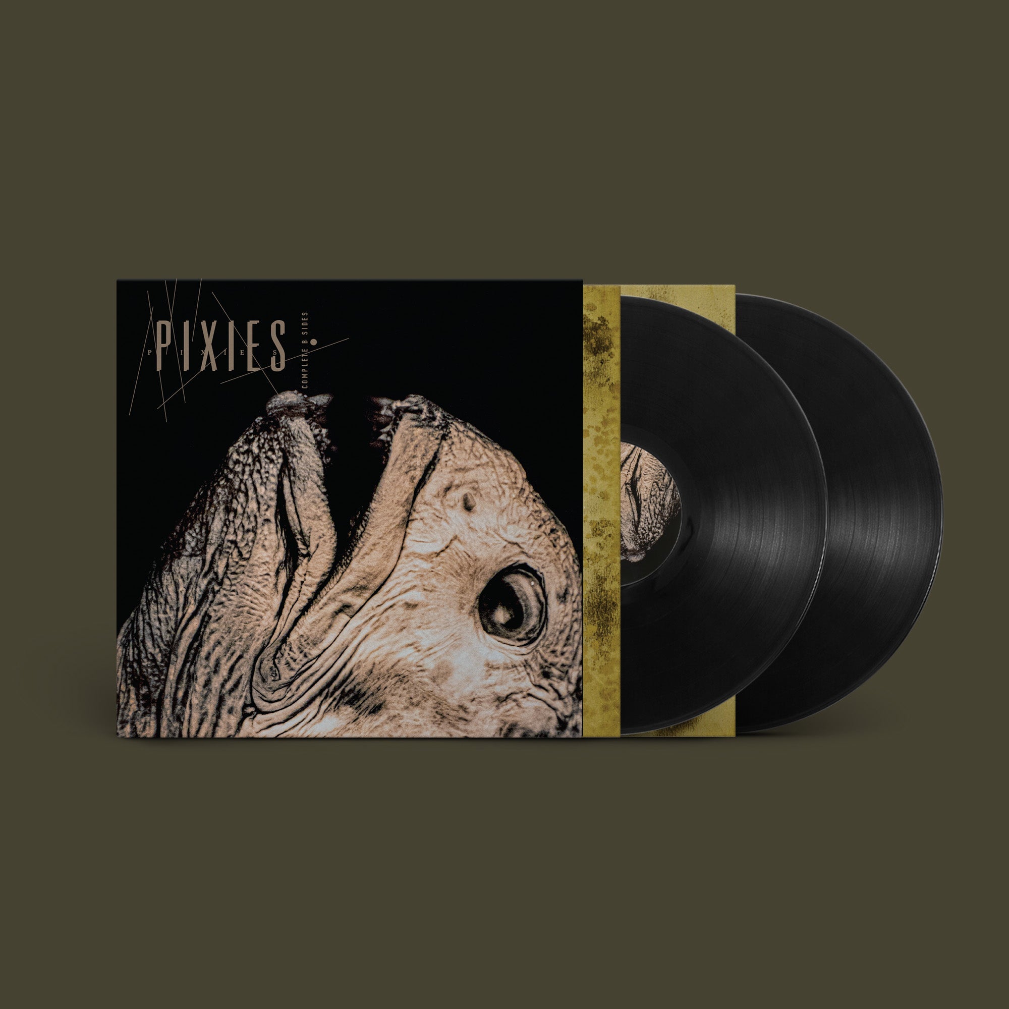 Pixies - Complete B-Sides: 1988-97 Album Artwork