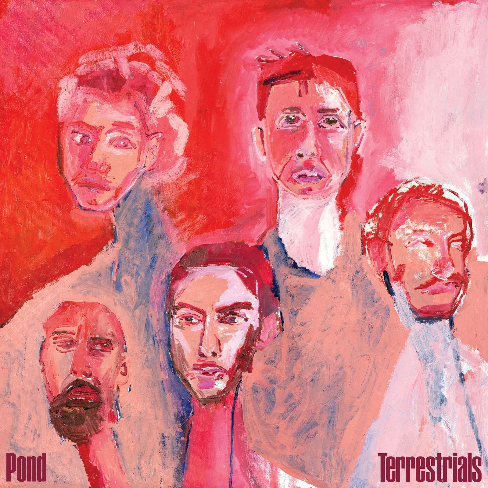 Pond - Terrestrials LP