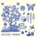 Special Friend  Clipping