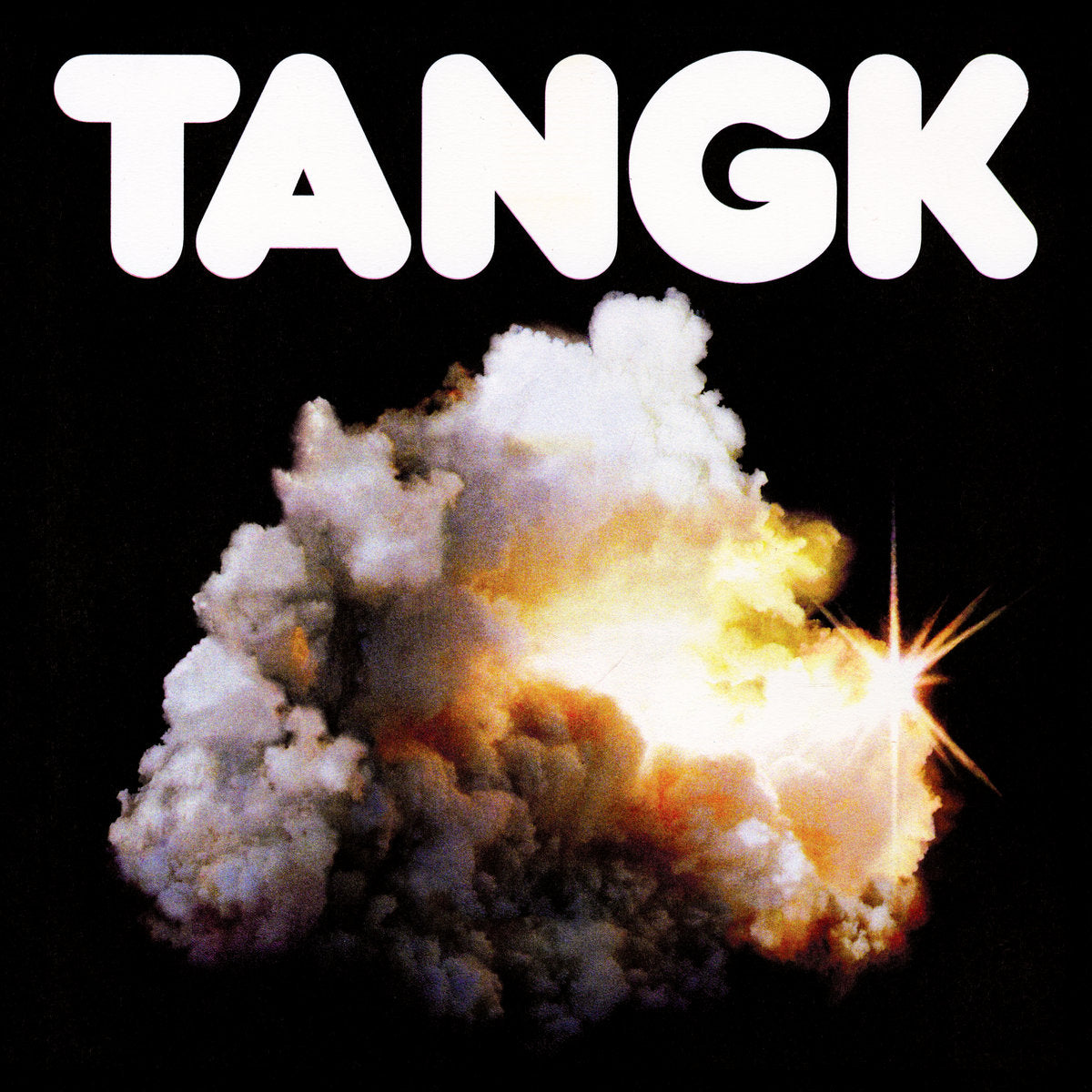 IDLES - TANGK vinyl LP cover