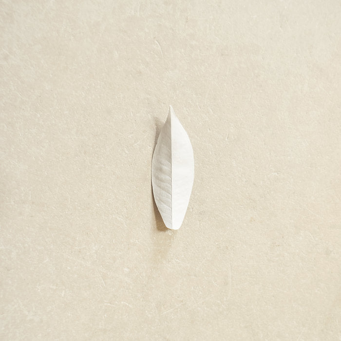 Sylvain Chauveau - The Complexity Of The Simple LP