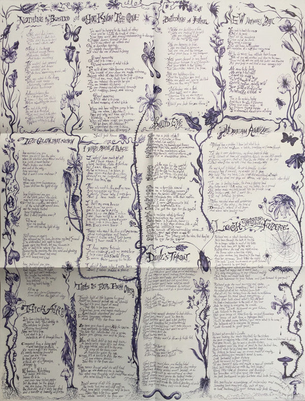 Bonnie Prince Billy ‎– I Made A Place-LP-Domino- WIGLP465-Muckypeg records