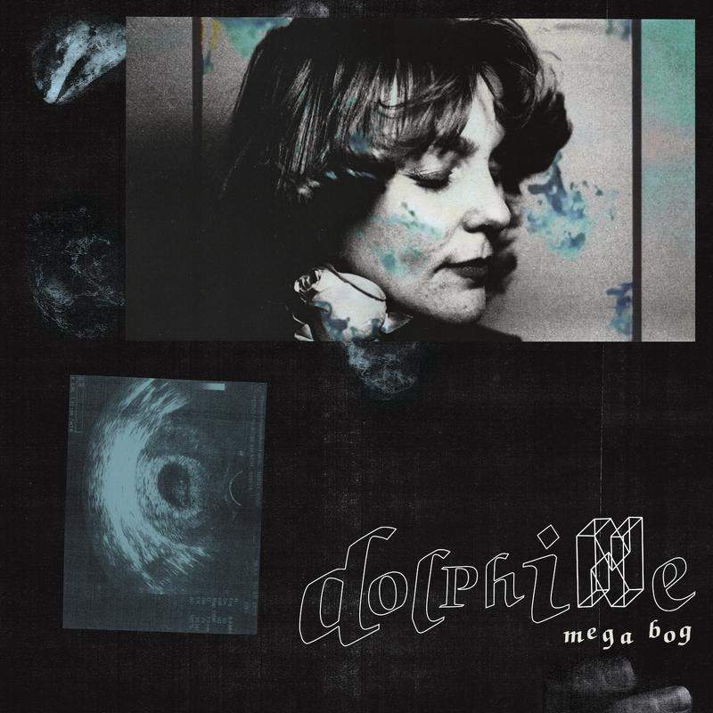Mega Bog ‎– Dolphine-LP-Paradise Of Bachelors- POB049-Muckypeg records
