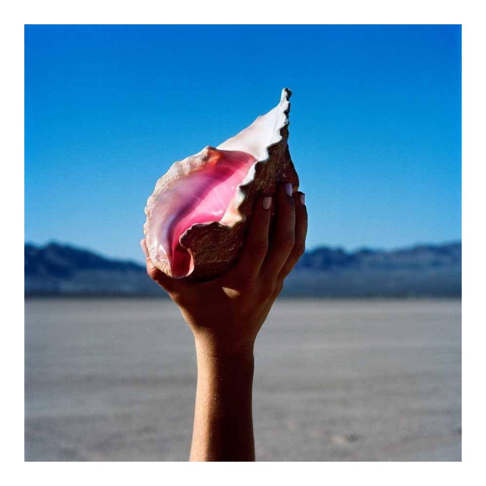 The Killers ‎– Wonderful Wonderful-LP-Island- 5777171-Muckypeg records