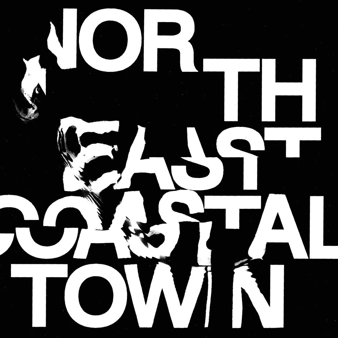 LIFE ‎– North East Coastal Town-LP-Afghan Moon- TLLLF004LPC-Muckypeg records